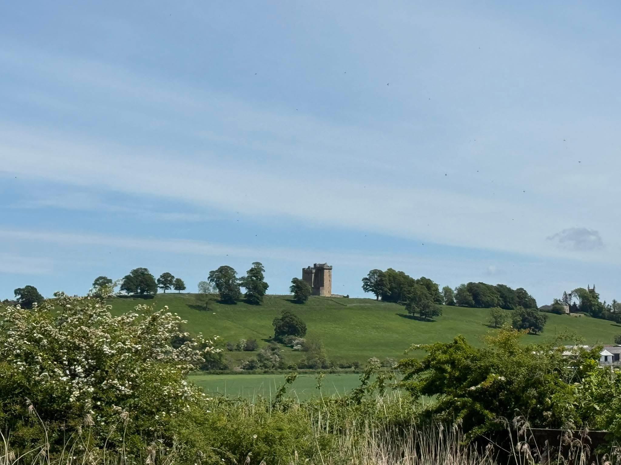 Clackmannan Tower viewed across the green countryside